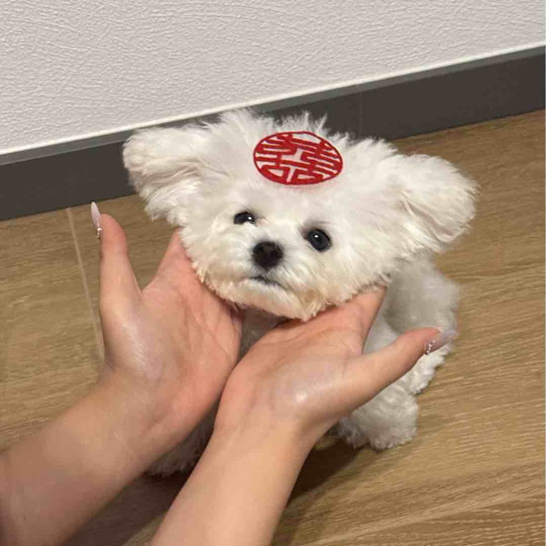 玩家867244947441074176