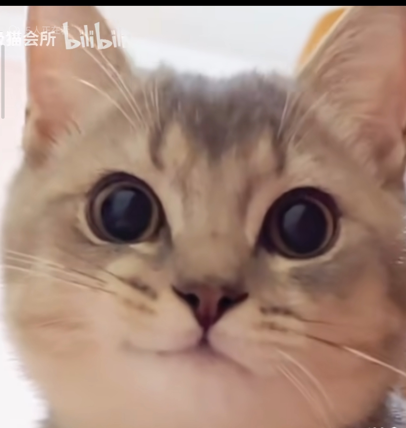 哪吒三之魔童打go