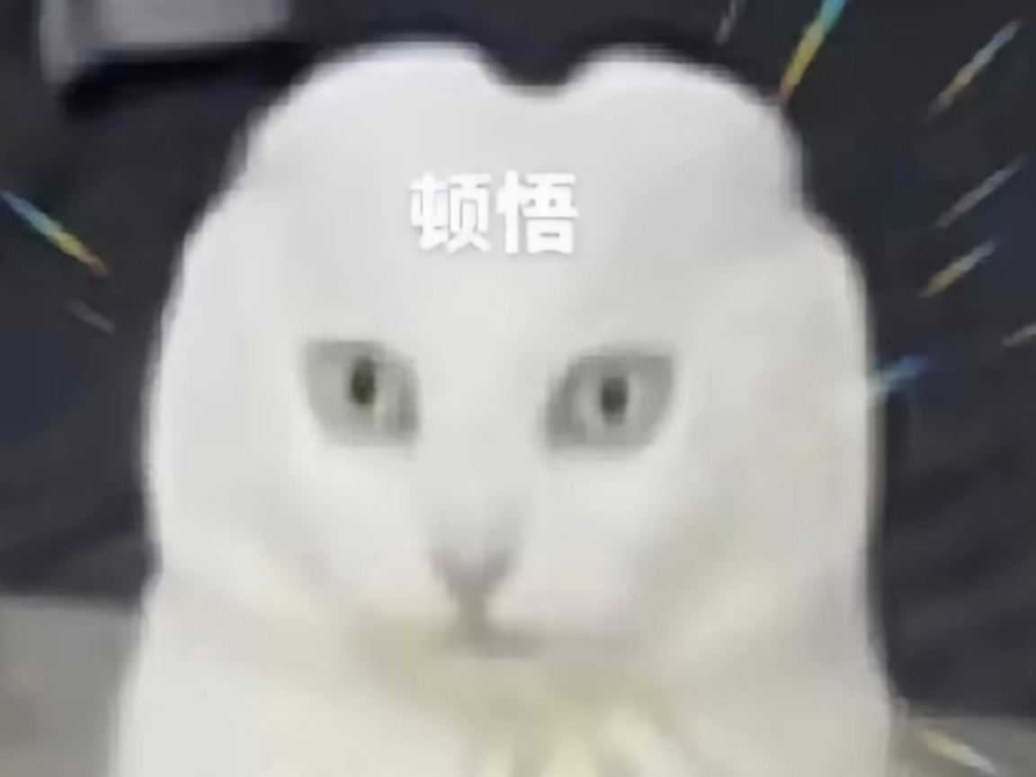 玩家1456156910390431744