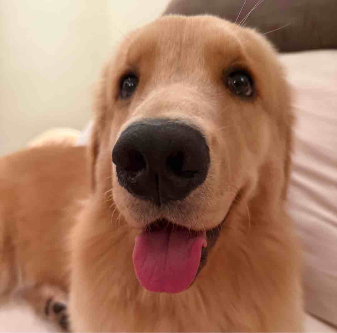 机器人自动发货