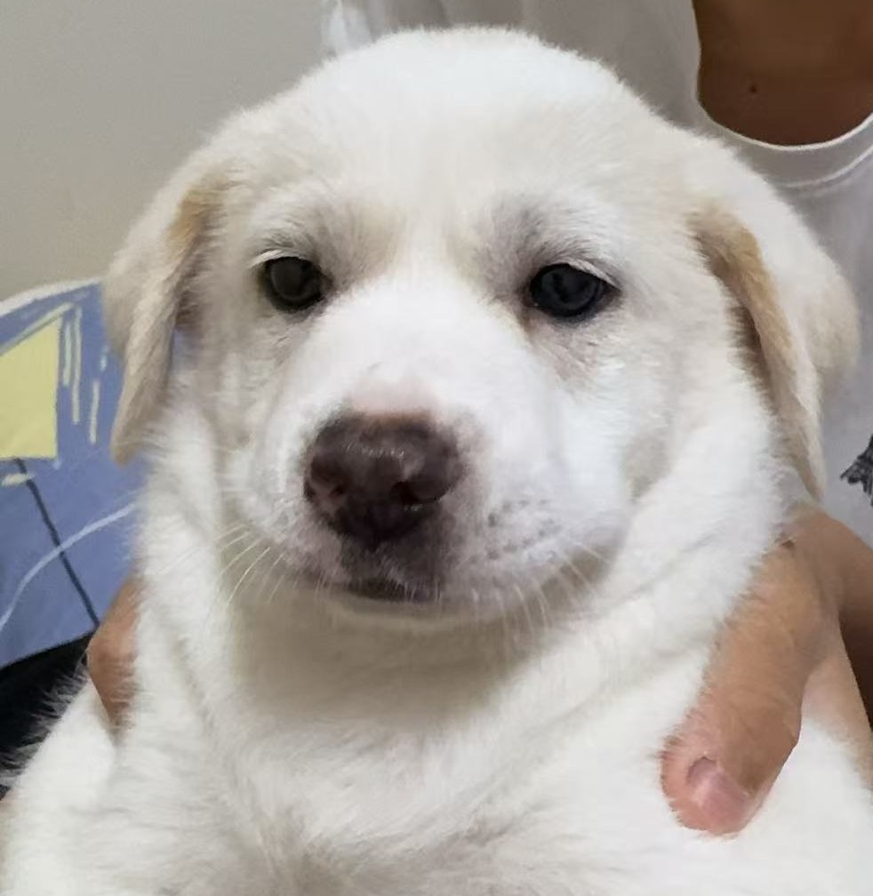 玩家1458327620634525696