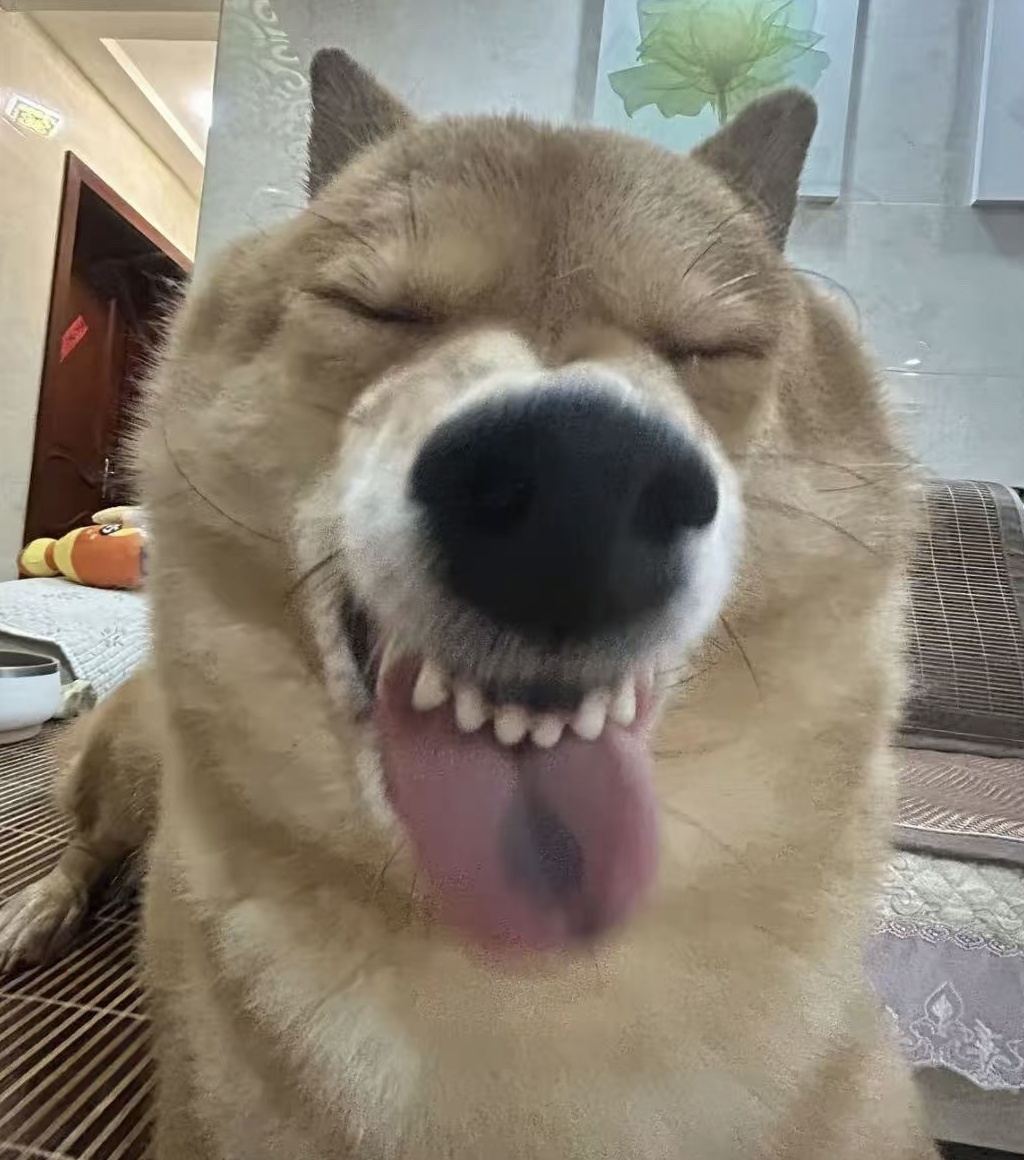 玩家1456892182202941440