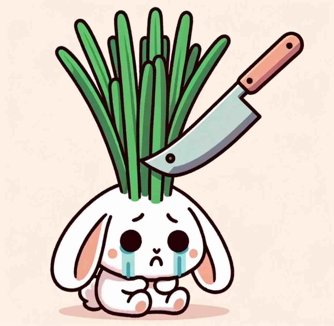 小健健秒发秒到账