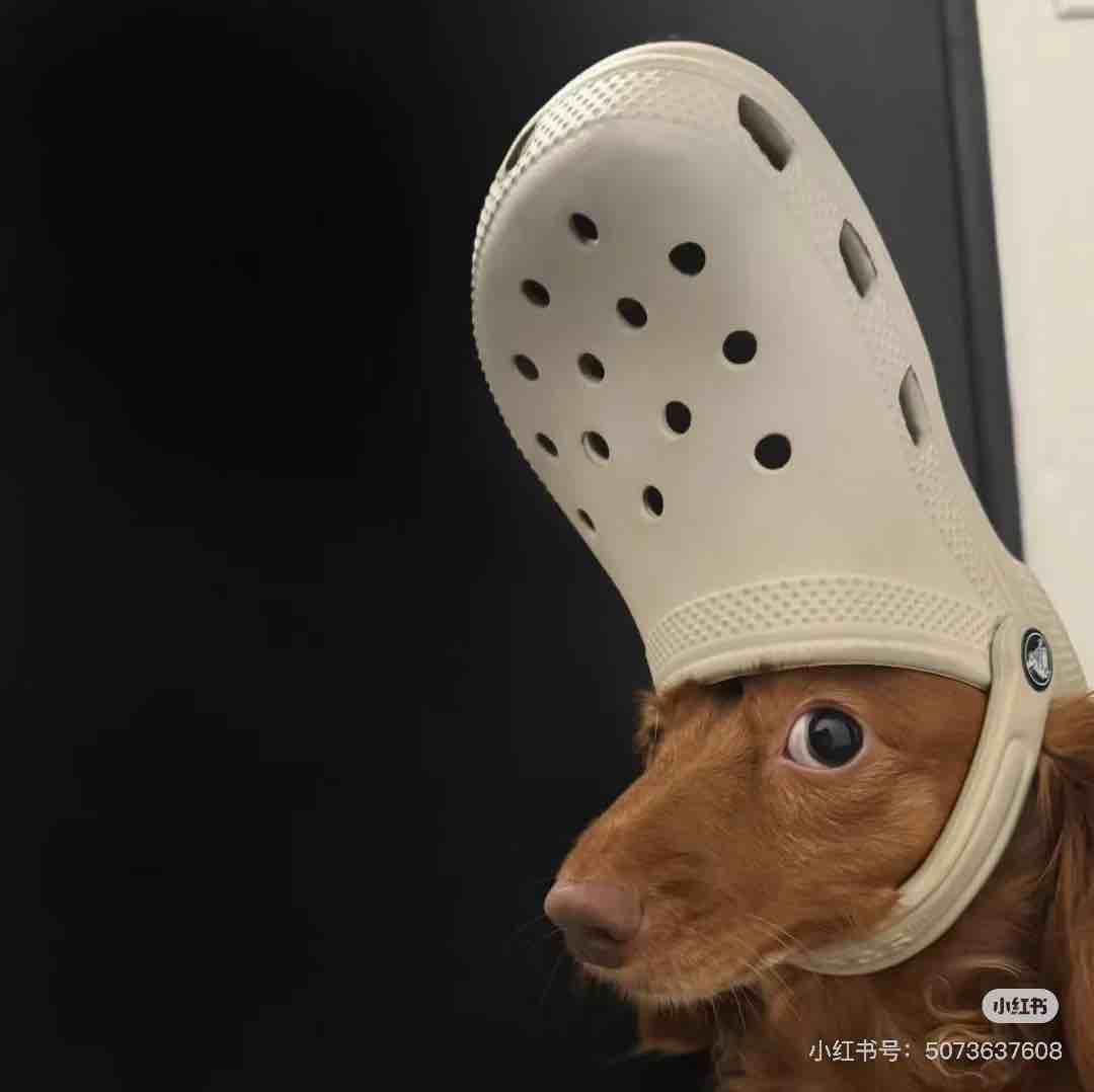 玩家1129599848650072064