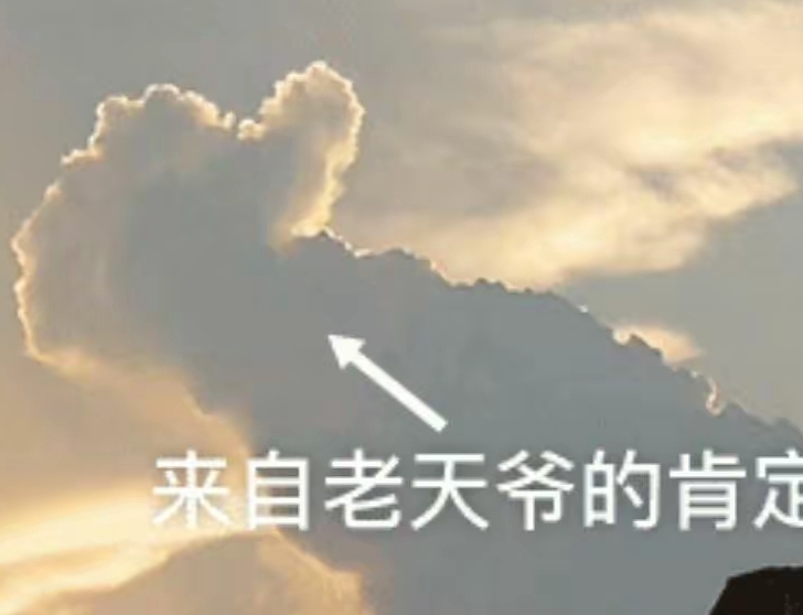 炼金亏麻了再也不炼了