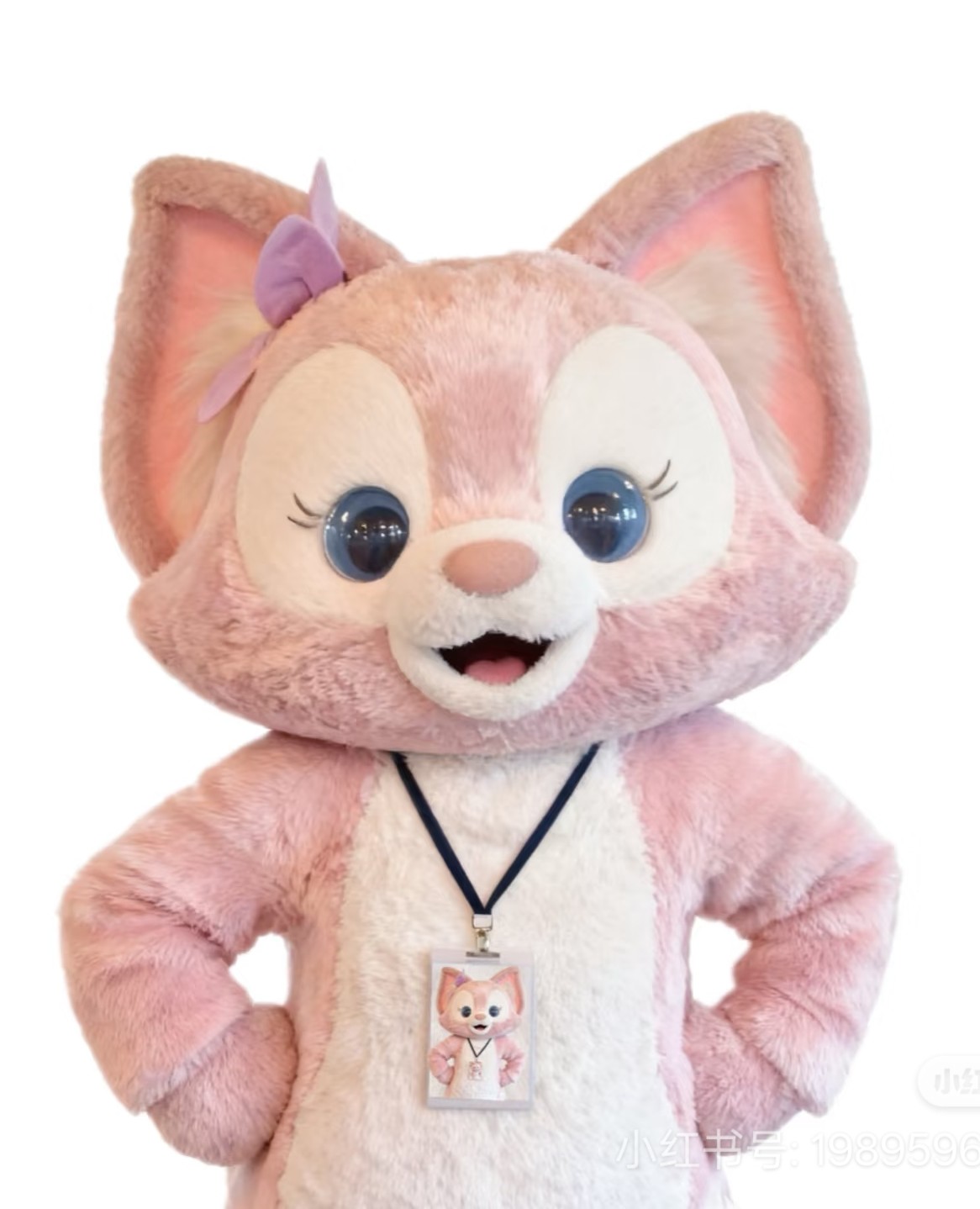 你的月亮我的心12138