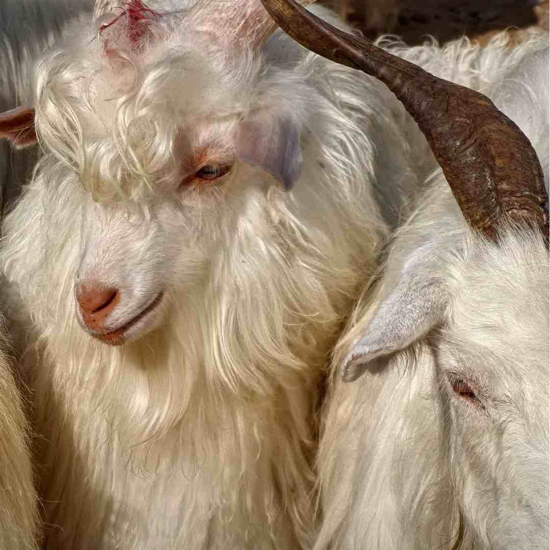 北美时差睡醒就发