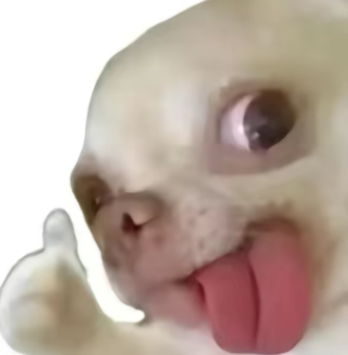 老板看看我纯自用