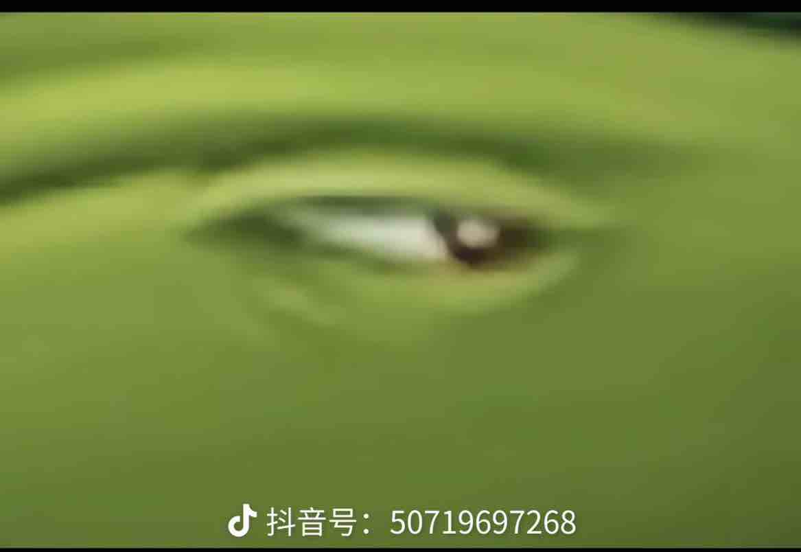 玩家1400260438767263744