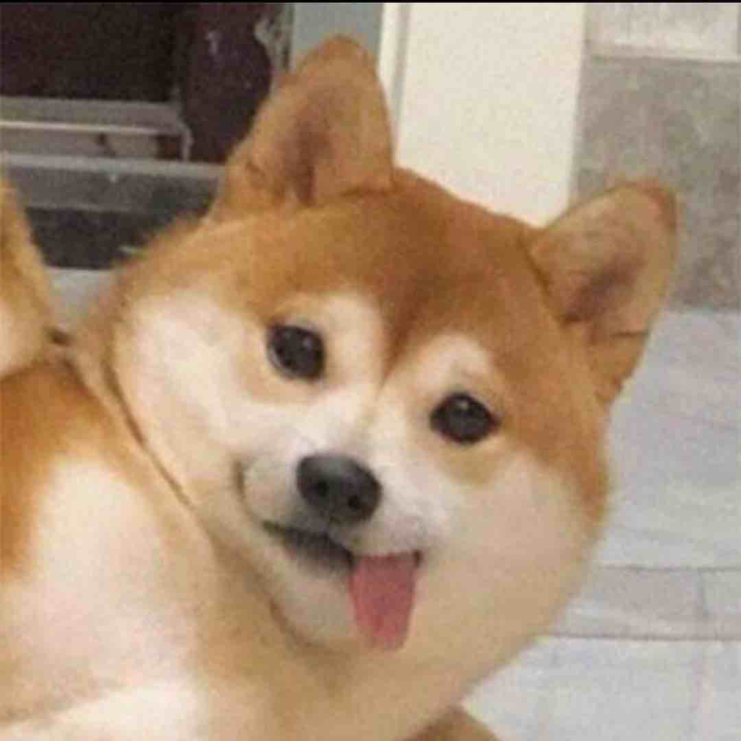 只拿认知以内的