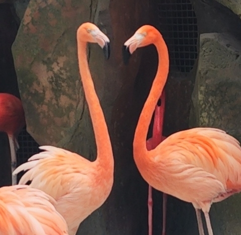 我是大学生给我便宜点