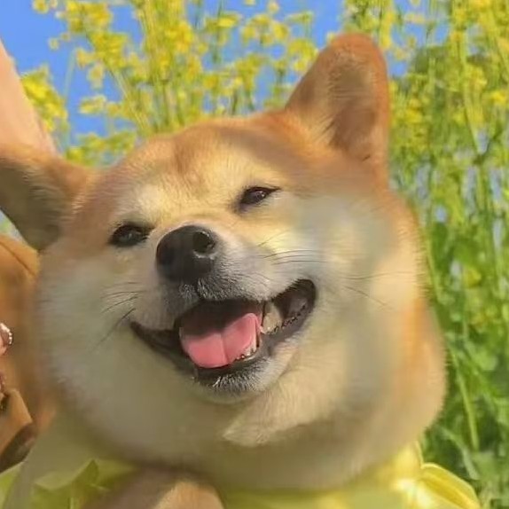 自用秒发除睡觉