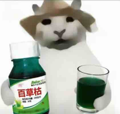 勇敢牛牛亏麻麻