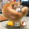 炼金材料专卖店