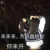 中大耐摔王