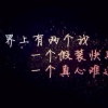 零零零零