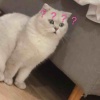 时过境迁