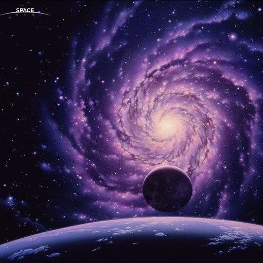真心交易