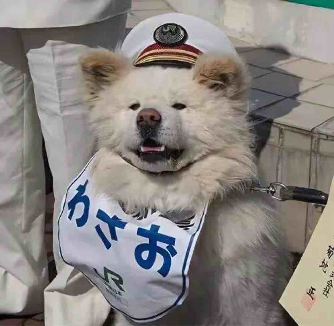 羡长江之无穷