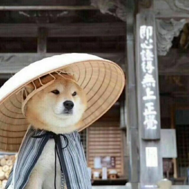 刘二狗