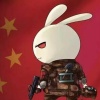 曙光yyds