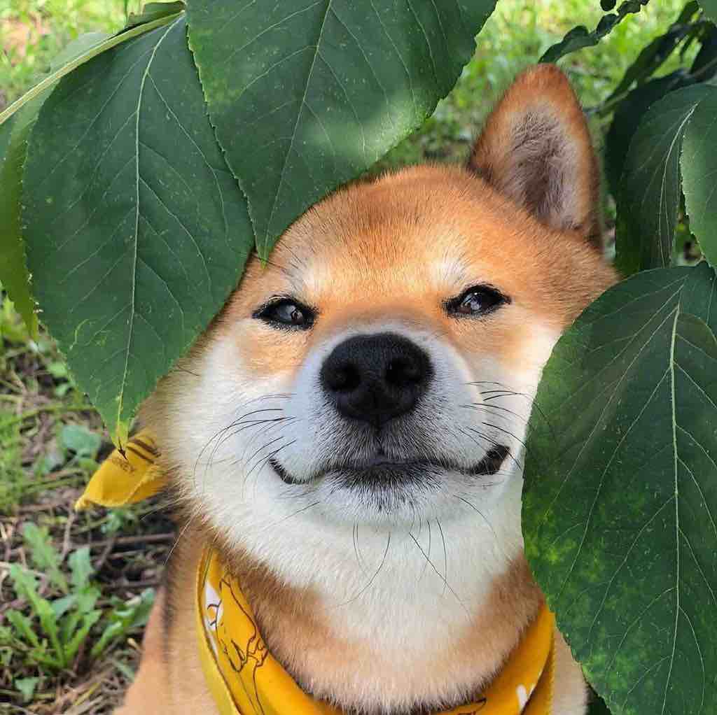 下次一定