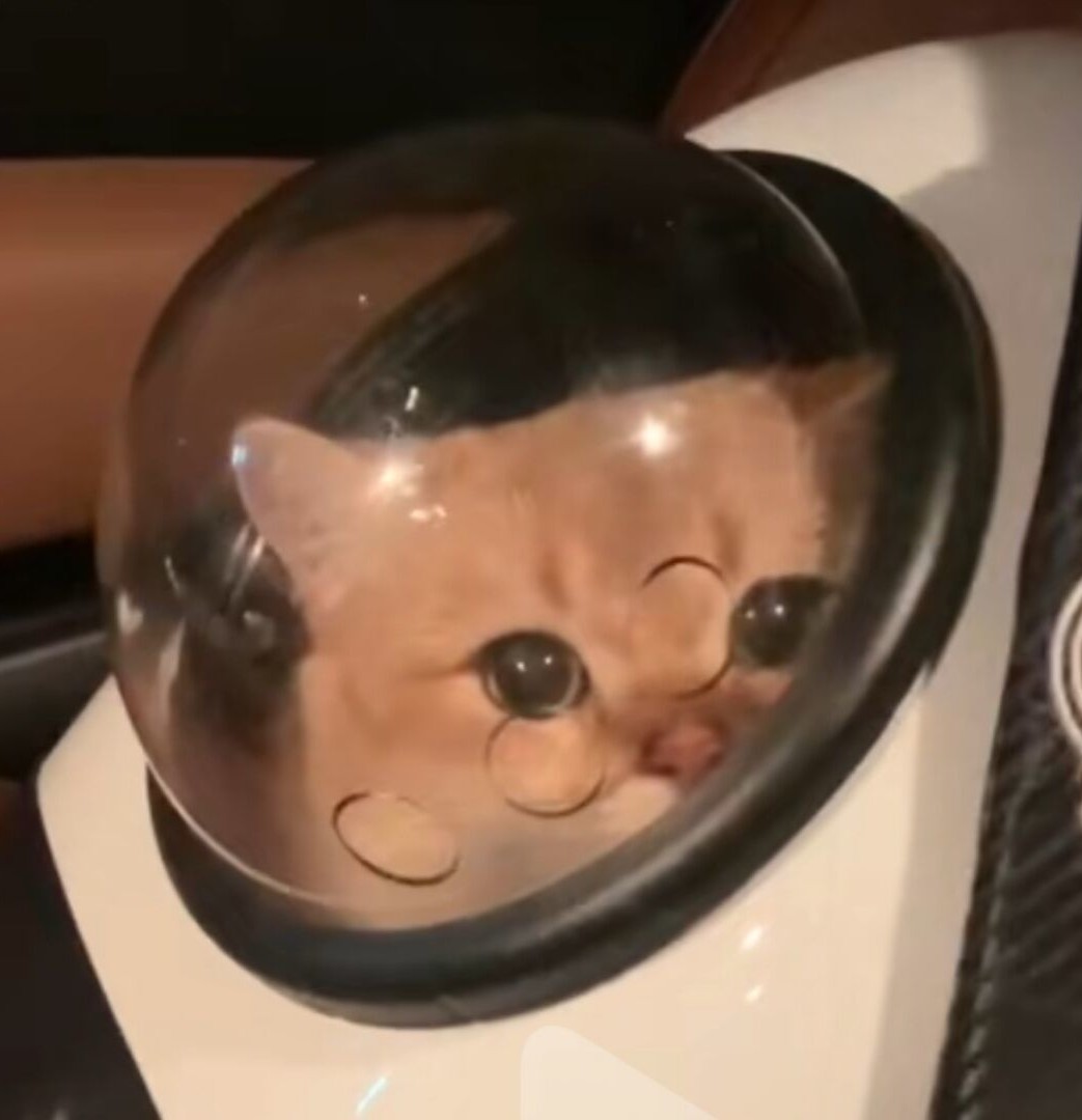 玩家938286103731056640