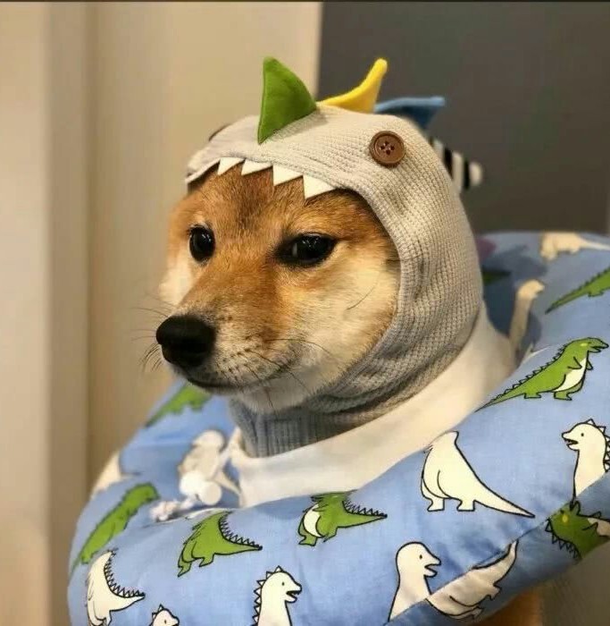 玩家895923253562134528