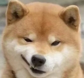 红枣仙元