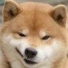 红枣仙元