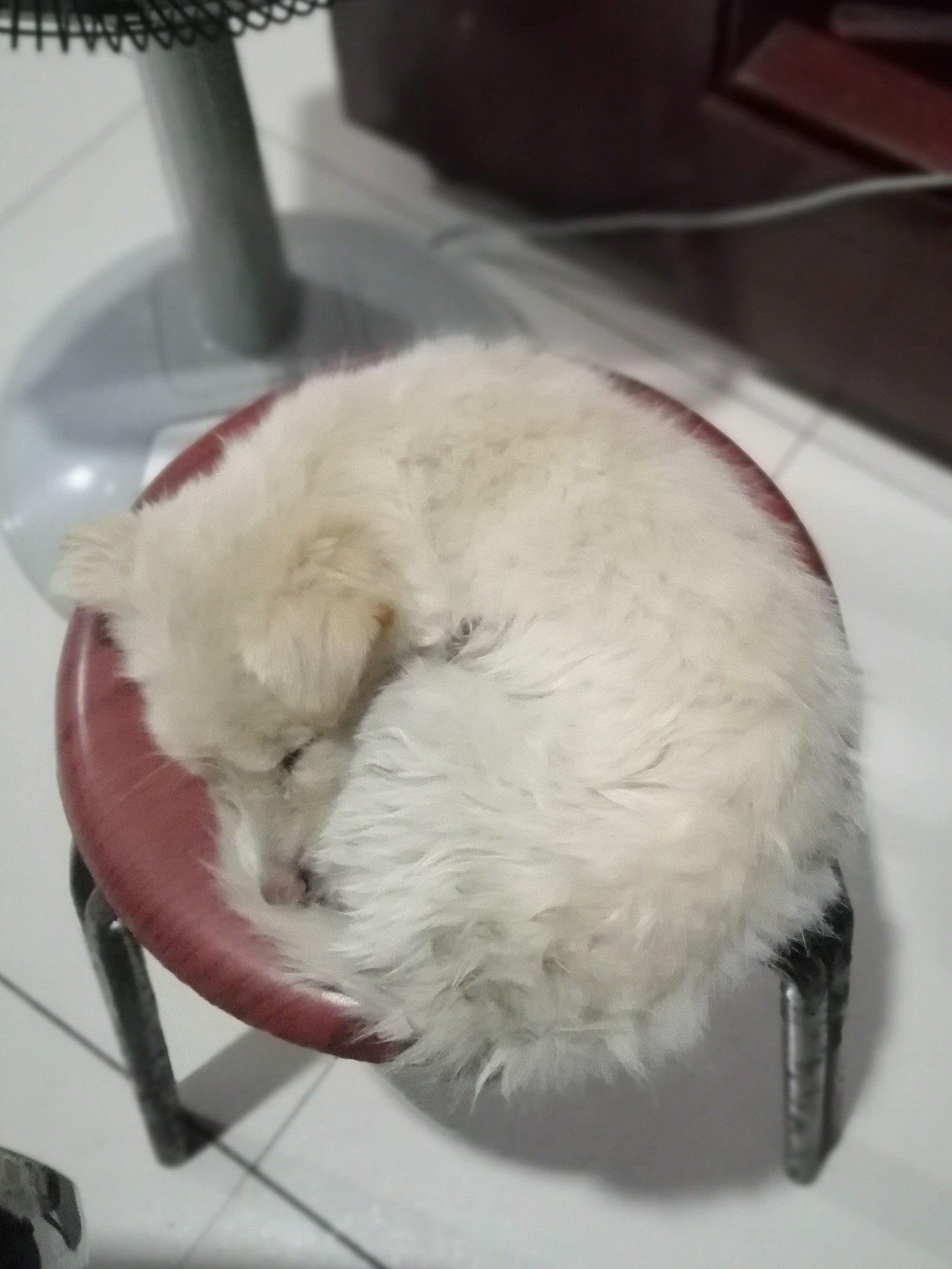 利威尔秒发货
