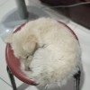 利威尔秒发货