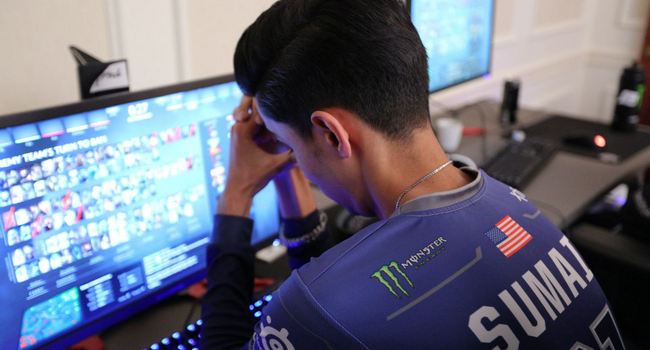 Suma1L PGL 
