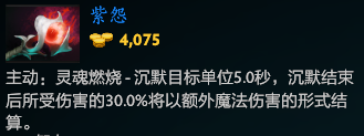 紫苑