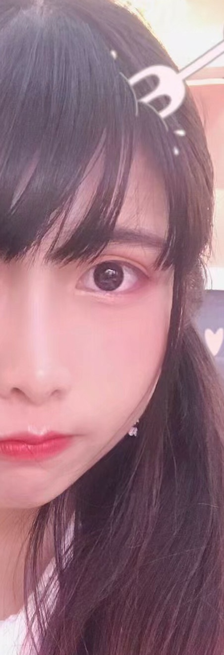 托托罗