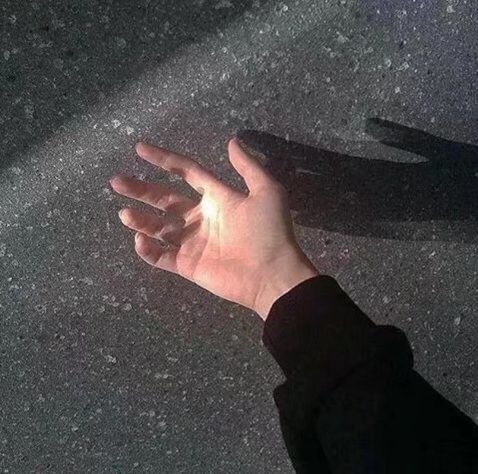 陨鹤ovo