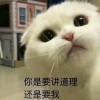 昔谣谣谣