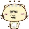 老妇撩发少年狂