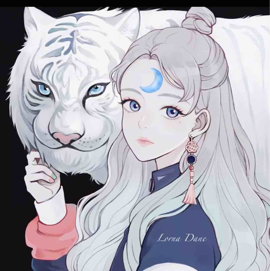 秒发dd