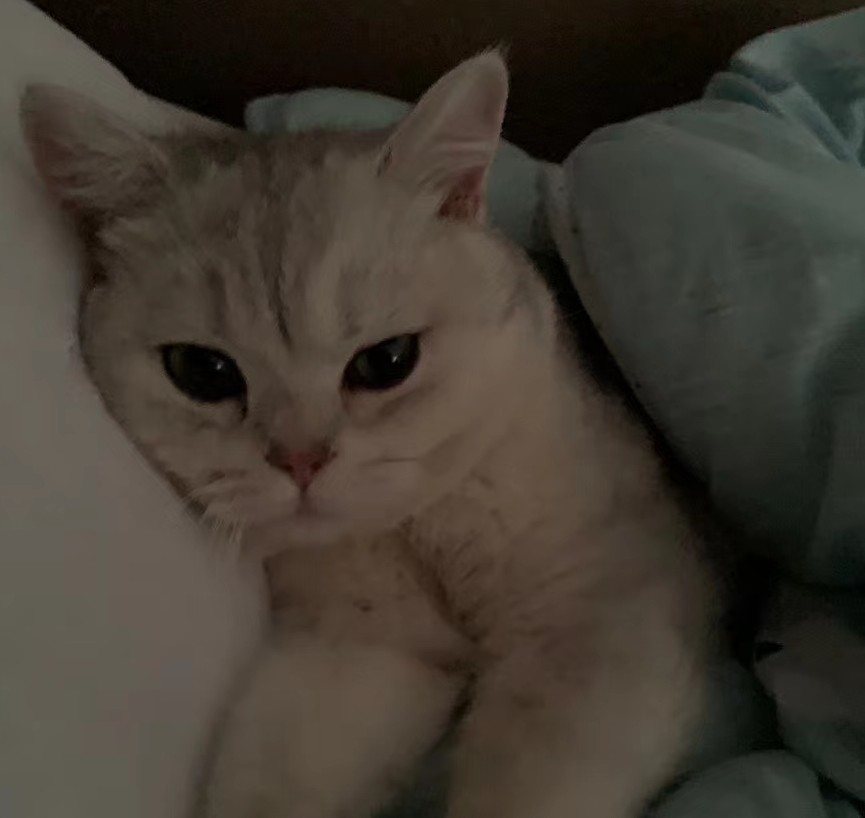 我只是一个小女孩儿