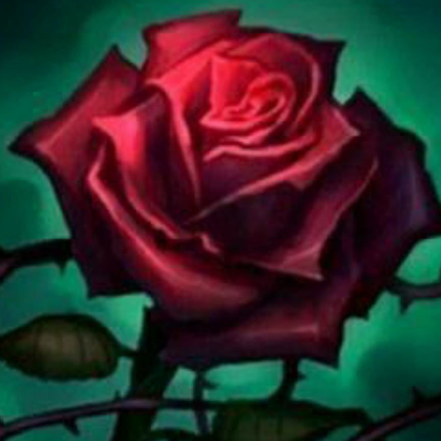 A丶Rose