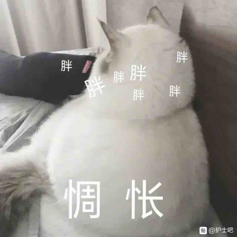 戴三块手表，做白日大梦
