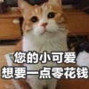 沐雨橙风