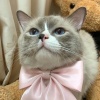 玩家74777256