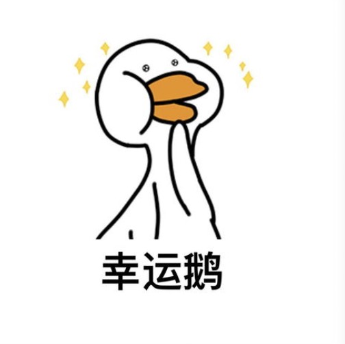我是大姐大老公鸭