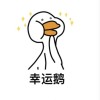我是大姐大老公鸭