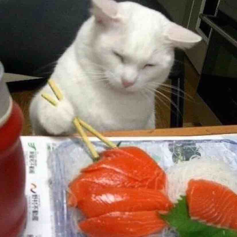 玩家698669996058497024