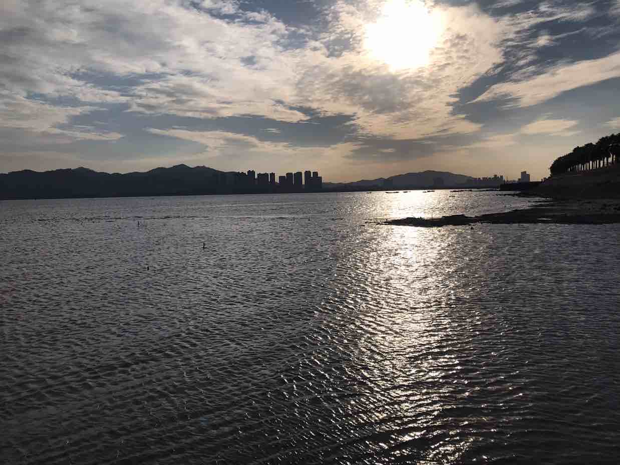 买我必出想要的
