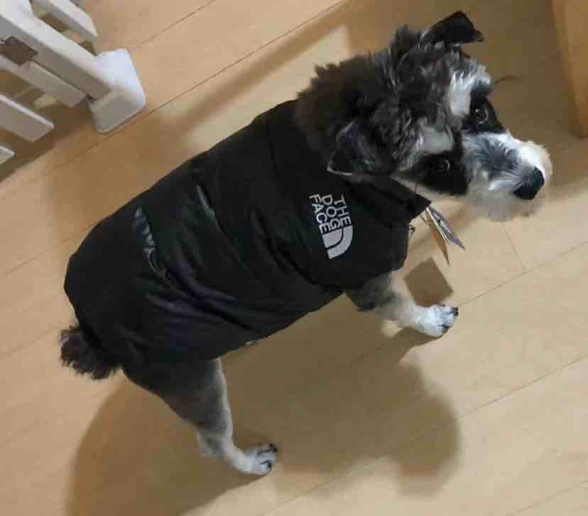 李老师儿