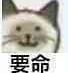 盛开在世纪末彼岸花丛中的死之结界